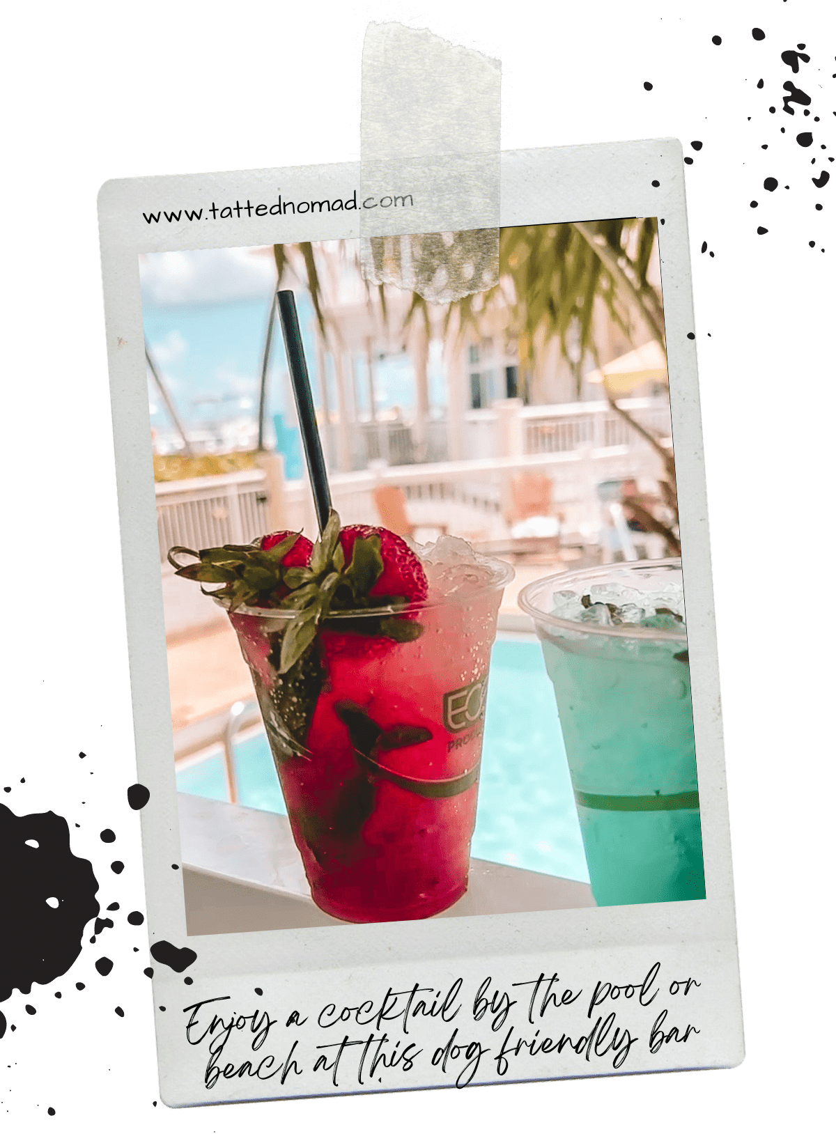 Hyatt Resort As Best Of all Pet Friendly Hotels In Key West